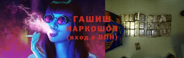 гашик Вяземский