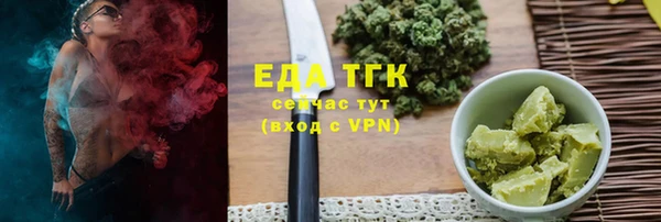 гашик Вяземский
