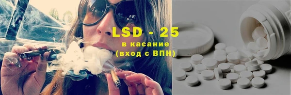 гашик Вяземский