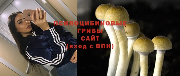 PSILOCYBIN Вязьма