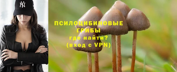 гашик Вяземский