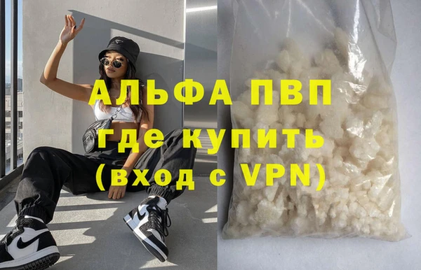 гашик Вяземский