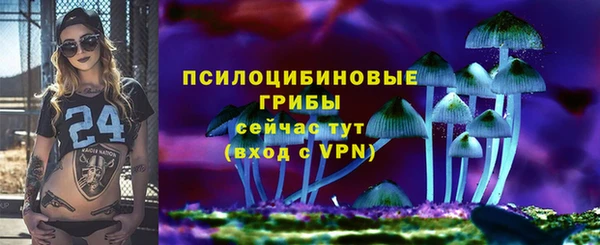 гашик Вяземский