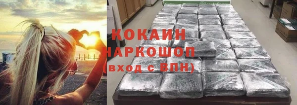 PSILOCYBIN Вязьма