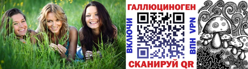 Галлюциногенные грибы MAGIC MUSHROOMS  маркетплейс какой сайт  Зверево 